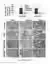 Fig. 43 - Optimization of determinants for successful genetic correction of diseases, mediated by hematopoietic stem cells