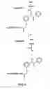 Fig. 06 - Method of determining the nucleotide sequence of oligonucleotides and DNA molecules