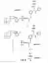 Fig. 07 - Method of determining the nucleotide sequence of oligonucleotides and DNA molecules
