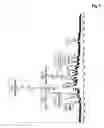 Fig. 07 - IMMUNOGLOBULIN GLYCOSYLATION PATTERN ANALYSIS