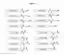 Fig. 26 - Modified Human Growth Hormone