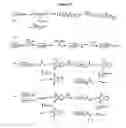 Fig. 27 - Modified Human Growth Hormone