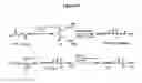 Fig. 28 - Modified Human Growth Hormone