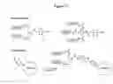 Fig. 32 - Modified Human Growth Hormone