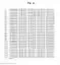 Fig. 02 - Polynucleotides encoding BSL2vcvc-lg