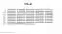 Fig. 22 - Polynucleotides encoding BSL2vcvc-lg