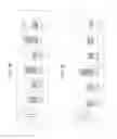 Fig. 43 - Polynucleotides encoding BSL2vcvc-lg