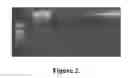 Fig. 03 - NUCLEIC ACID AMPLIFICATION