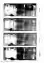 Fig. 07 - Use of ionic liquids for implementing a process for the preparation of biodiesel