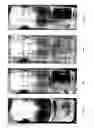 Fig. 08 - Use of ionic liquids for implementing a process for the preparation of biodiesel