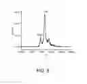 Fig. 09 - Biomolecule polymer conjugates and methods for making the same