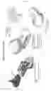 Fig. 02 - Automated cellular material preparation
