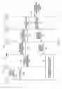 Fig. 04 - Method and apparatus for policy and charging control decisions based on radio spectrum blocks