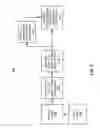 Fig. 09 - Signal characteristic-based leading edge detection