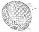 Fig. 01 - NONCONFORMING ANTI-SLICE BALL