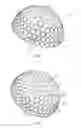Fig. 04 -  NONCONFORMING ANTI-SLICE BALL