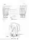 Fig. 02 - SELECTORIZED DUMBBELL HAVING SHOCK ABSORBING SYSTEM