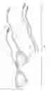 Fig. 09 - EXERCISE APPARATUS