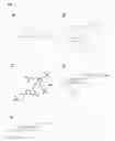 Fig. 02 - Combination of fluorescent dyes for the detection of nucleic acids