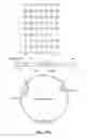Fig. 14 - SYSTEM FOR DETECTNG PROTEASE