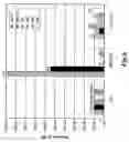 Fig. 09 - Nucleic acid amplification using non-random primers