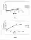 Fig. 02 - Template fixed β-hairpin loop mimetics and their use in phage display
