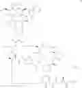 Fig. 08 - Compounds