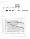 Fig. 08 - MODIFIED HUMAN THROMBOPOIETIN POLYPEPTIDE FRAGMENT AND MANUFACTURING METHOD THEREOF