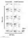 Fig. 07 - COMPOUNDS AND METHODS FOR THE TREATMENT OF AUTOIMMUNE AND INFLAMMATORY DISEASE