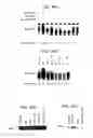 Fig. 41 - Triterpene compositions and methods for use thereof