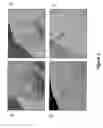 Fig. 04 - Pharmaceutical compounds