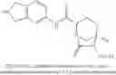 Fig. 167 - β-lactamase inhibitors