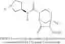 Fig. 79 - β-lactamase inhibitors