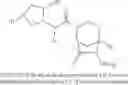 Fig. 97 - β-lactamase inhibitors