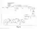 Fig. 04 - COMPOUNDS FOR RHO KINASE INHIBITION AND FOR IMPROVING LEARNING AND MEMORY