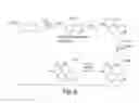 Fig. 08 - COMPOUNDS FOR RHO KINASE INHIBITION AND FOR IMPROVING LEARNING AND MEMORY