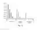 Fig. 12 - COMPOUNDS FOR RHO KINASE INHIBITION AND FOR IMPROVING LEARNING AND MEMORY