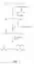 Fig. 02 - Self delivering bio-labile phosphate protected pro-oligos for oligonucleotide based therapeutics and mediating RNA interference