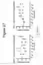 Fig. 33 - DIAGNOSIS AND THERAPY OF ORGAN DYSFUNCTION USING SPHINGANINE-1-PHOSPHATE