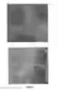 Fig. 02 - Methods for isolating bacteria