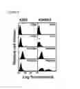 Fig. 06 - AMINO ACID SEQUENCES DIRECTED AGAINST INTEGRINS AND USES THEREOF