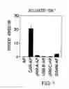 Fig. 02 - Methods For Detecting Th1 Cells