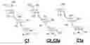 Fig. 01 - Gentamicin Separation Method