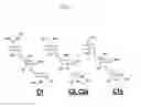 Fig. 02 - Gentamicin Separation Method