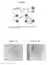 Fig. 02 - Functionalized nanoparticles and other particles and methods for making and using same