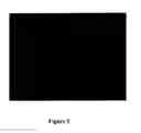 Fig. 06 - METAL ENHANCED FLUORESCENCE-BASED SENSING METHODS