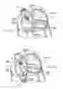 Fig. 08 - Devices, systems, and methods for reshaping a heart valve annulus, including the use of a bridge implant having an adjustable bridge stop