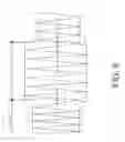 Fig. 10 - Neuroaudiological central auditory test apparatus and method of differentiation of the neural correlates in PTSD, TBI, autism, ADHD, et al