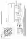 Fig. 09 - Optical bundle apparatus and method for optical and/or electrical nerve stimulation of peripheral nerves