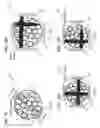 Fig. 10 - IMPLANTABLE INFRARED NERVE STIMULATION DEVICES FOR PERIPHERAL AND CRANIAL NERVE INTERFACES